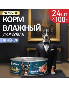 Влажный корм для собак Holistic ягненок с рисом и овощами 24шт по 100г Зоогурман