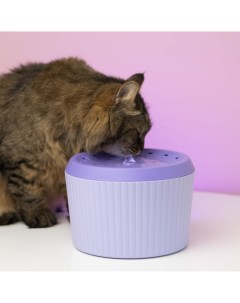 Автоматическая поилка для кошек и собак с подсветкой фиолетовая пластик объем 3 л Nobrand