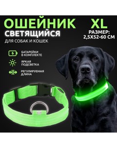 Ошейник светящийся для собак светодиодный зеленого XL 2 5х52 60 см At