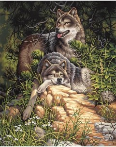 Картина по номерам Дикие и свободные волки 40x50 Цветной