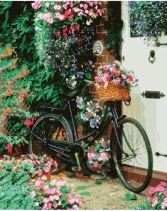 Картина по номерам Велосипед с цветами 40x50 см Цветной