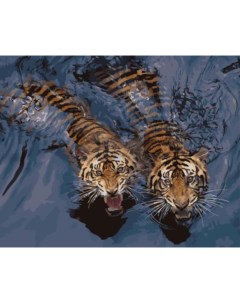 Картина по номерам GX5729 Мощные тигры в воде Цветной