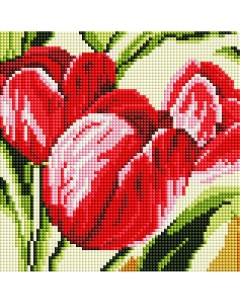 Алмазная мозаика Тюльпаны Полная выкладка 20х20 см квадратные стразы Белоснежка
