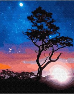 Картина по номерам GX23214 В звёздном сиянии Цветной