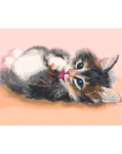 Картина по номерам Милый котенок 40x50 см Цветной