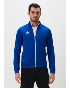 Олимпийка Adidas
