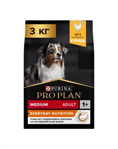 Everyday Nutrition Сухой корм для взрослых собак средних пород с курицей 3 кг Pro plan