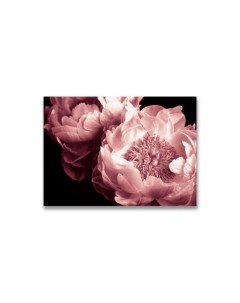 Картина на холсте Розовые пионы 2 Дом корлеоне