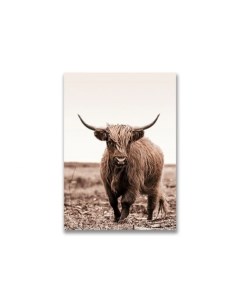 Картина на холсте Шотландский бык 3 Дом корлеоне