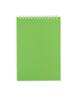 Блокнот а5 60 листов на гребне пластиковая обложка зеленый Calligrata