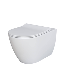 Подвесной унитаз Queen 113T20001R-112T20001S безободковый, с сиденьем микролифт, белый глянец Ambassador