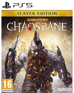 Игра Warhammer Chaosbane Slayer Edition Русская Версия PS5 Nacon