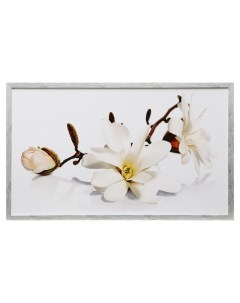 Картина Белая орхидея 67х107 см рамка МИКС Сюжет