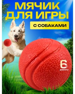Игрушка для собак ACE Venture Мячик красный 6 см Eva