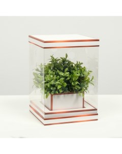 Коробка для цветов с вазой OMG GIFT складная 16х23х16 см бронза Кнр