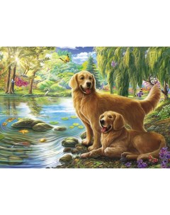 Алмазная мозаика Рыжие собаки у озера 30х40 см Рыжий кот