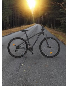 Велосипед горный Motion 2 0 29 2024 Черный Stern