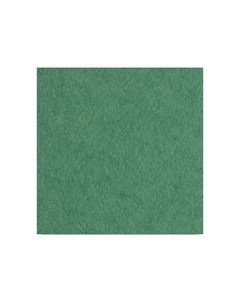 Бумага для акварели лист 200 г Зеленый А2 Лилия холдинг