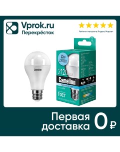 Лампа Camelion светодиодная LED25 A65 845 E27 25Вт упаковка 3 шт Litarc lighting&electromic ltd