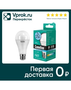 Лампа светодиодная Camelion E27 15Вт Litarc lighting&electromic ltd