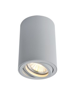 Потолочный светильник A1560PL 1GY Arte lamp
