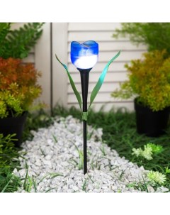 Садовый светильник на солнечной батарее Синий тюльпан 4х30х4 см Uniel