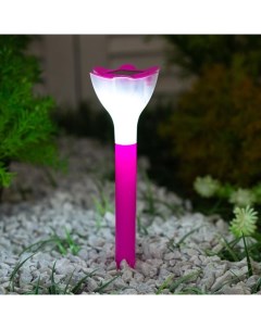 Садовый светильник Pink Crocus на солнечной батарее 6х20х6 см Uniel