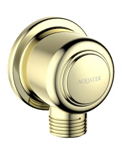 Шланговое подключение Классик AQ2461PG Полированное золото Aquatek