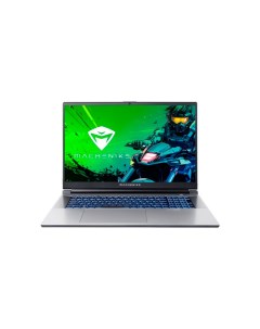 Ноутбук L17 Star JJ00G800ERU Intel Core i5 13500H 2 6GHz 16384Mb 512Gb SSD nVidia GeForce RTX 4060 8 Machenike