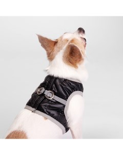 Шлейка со светоотражающей лентой для собак S обхват груди 28 31 см обхват шеи 20 22 см черная Rurri