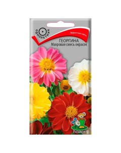 Семена Цветы Георгина Махровая смесь окрасок 0 3 г цветная упаковка Поиск
