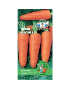 Семена Морковь Шантанэ 5 1 г Даешь урожай цветная упаковка Седек
