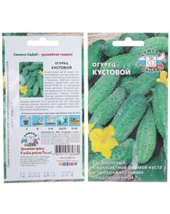 Семена Огурец Кустовой 0 5 г цветная упаковка Седек