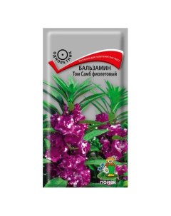 Семена Цветы Бальзамин Том Самб фиолетовый 0 1 г цветная упаковка Поиск