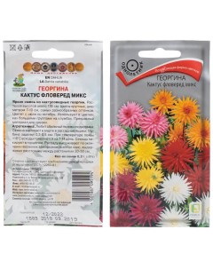 Семена Цветы Георгина Кактус фловеред микс 0 2 г цветная упаковка Поиск
