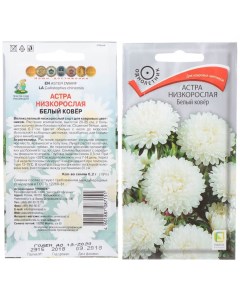 Семена Цветы Астра Белый ковер 0 2 г цветная упаковка Поиск