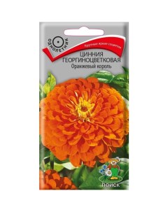 Семена Цветы Цинния Оранжевый король 0 4 г георгиноцветковая цветная упаковка Поиск