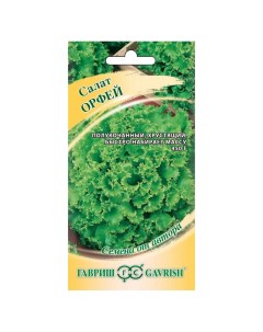 Семена Салат полукочанный Орфей 0 5 г хрустящий зеленые цветная упаковка Гавриш