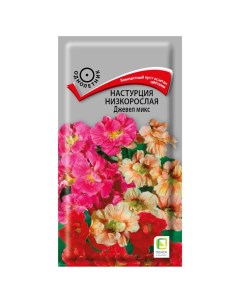Семена Цветы Настурция Джевел микс 2 г нискорослая цветная упаковка Поиск