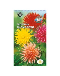Семена Цветы Георгина Скоморохи 0 2 г кактусовидная смесь цветная упаковка Седек