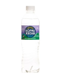 Вода питьевая негазированная 0 5 л х 12 шт Норма жизни
