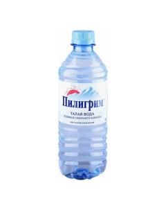 Вода питьевая негазированная столовая 0 5 л Пилигрим