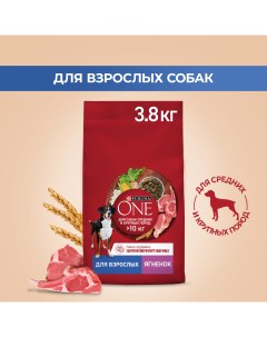 Сухой корм для собак для средних и крупных пород с ягненком и рисом 3 8 кг Purina one