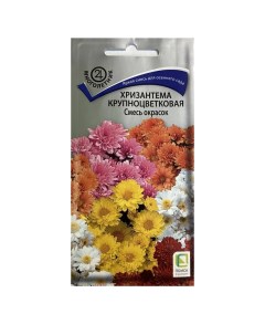 Семена Цветы Хризантема крупноцветковая 0 05 г смесь окрасок цветная упаковка Поиск