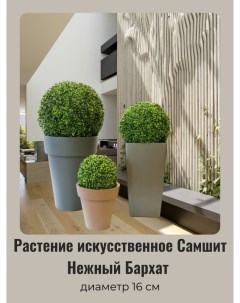 Искусственное растение Самшит Нежный бархат 993 0257 зеленый 16см Ultramarine