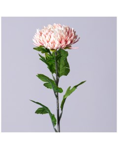 Цветок Астра 58 см Lefard