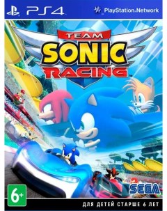 Игра Team Sonic Racing русские субтитры PS4 Nobrand