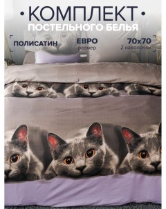 Комплект постельного белья Серый котик евро наволочки 70x70 Pavlina