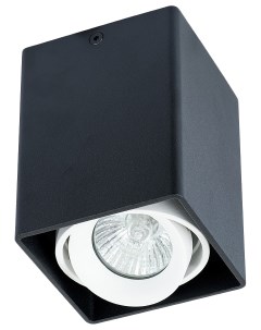 Потолочный светильник Pictor A5655PL 1BK Arte lamp