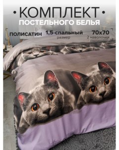 Комплект постельного белья Серый котик 1 5 спальный наволочки 70x70 Pavlina